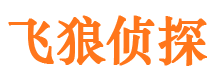 夷陵外遇出轨调查取证